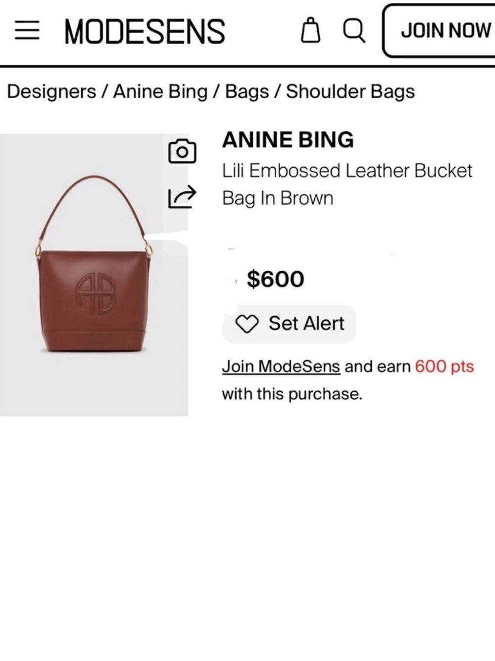 Anine Bing Leather Lili Bucket Bag Brown Retail $600.00 - Picture 14 of 16